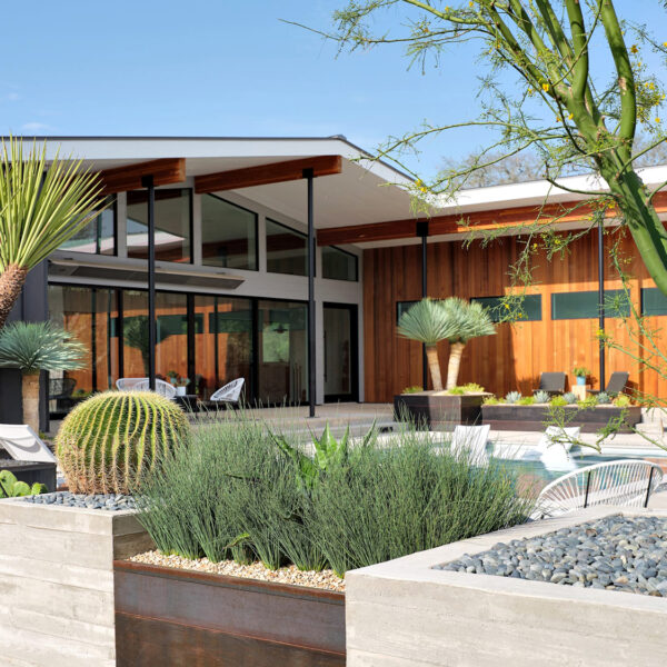 LUSH GreenScape Design Mid Century Modern San Marcos Landscape RED Award Winner